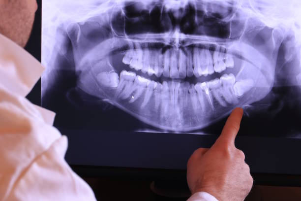 Best Emergency X-Rays and Diagnostics in Pana, IL